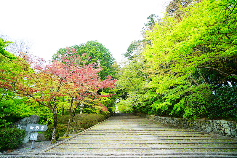 西山浄土宗総本山 光明寺ギャラリー2