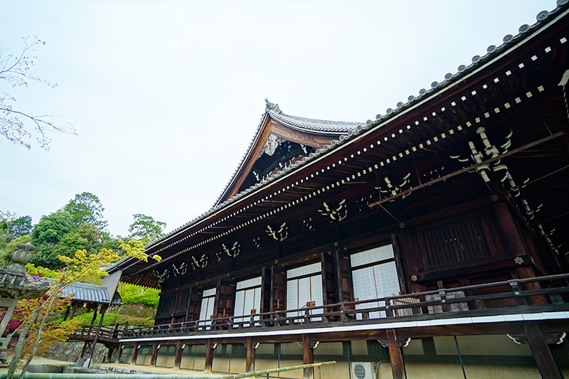 西山浄土宗総本山 光明寺ギャラリー6