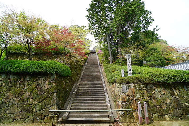 西山浄土宗総本山 光明寺ギャラリー8