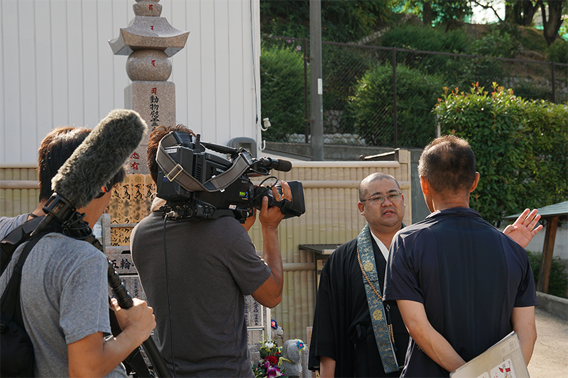 MBS毎日放送「ちちんぷいぷい」にて泰聖寺が紹介されました。3